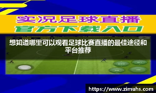 RAYBET雷竞技网址