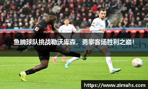 RAYBET雷竞技下载